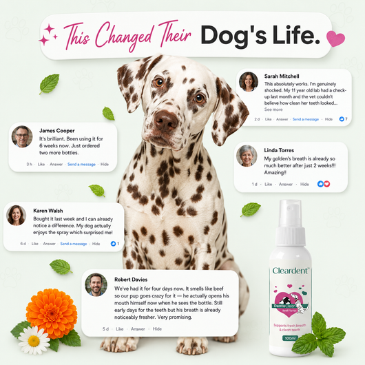Cleardent™ Daily Dental Spray for Dogs & Cats
