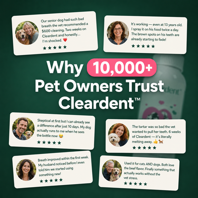 Cleardent™ Daily Dental Spray for Dogs & Cats