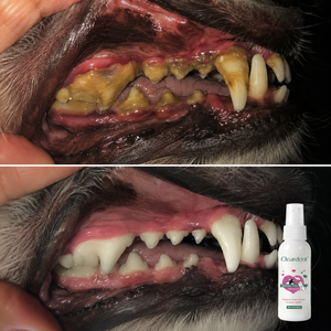 Cleardent™
