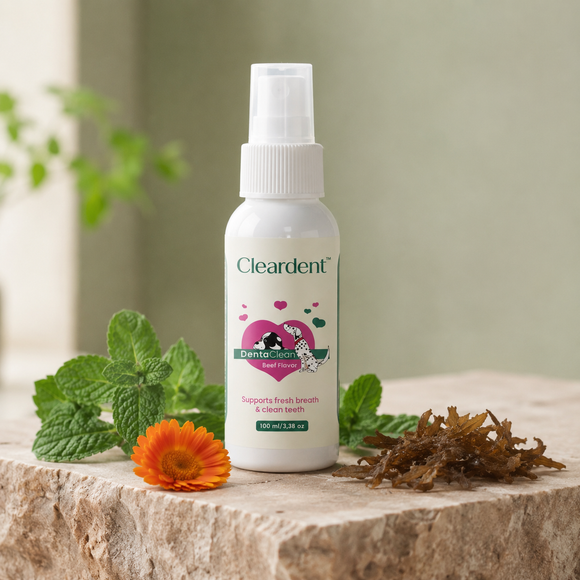 Feature product image