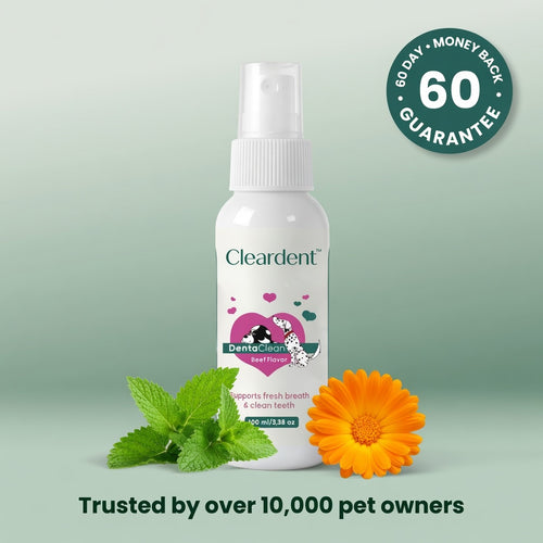 Cleardent™ Daily Dental Spray for Dogs & Cats