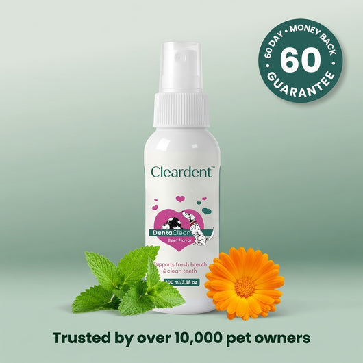 Cleardent™ Daily Dental Spray for Dogs & Cats